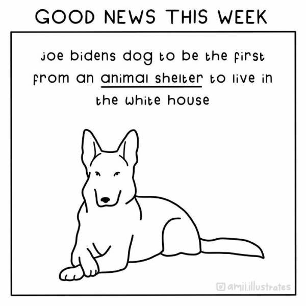 Good News Illustrations (19 pics)