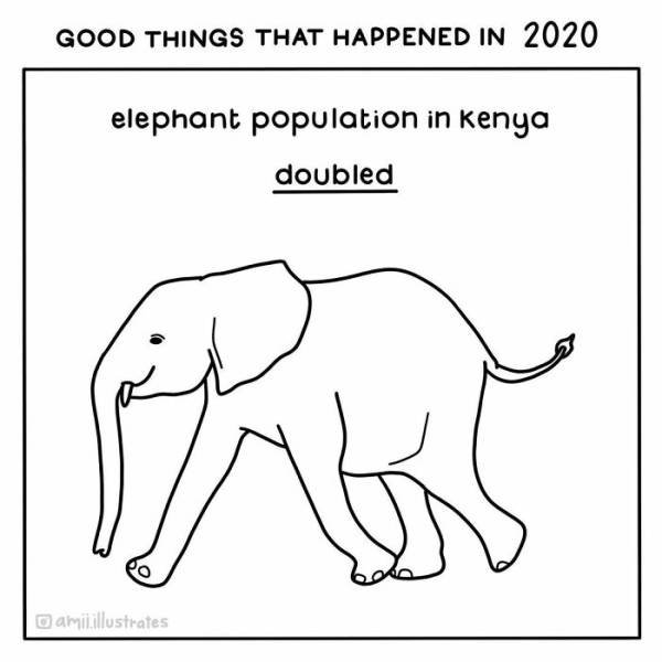 Good News Illustrations (19 pics)