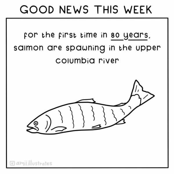 Good News Illustrations (19 pics)