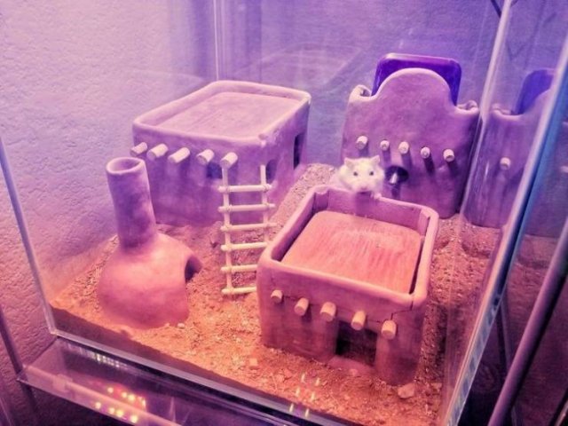 Perfection Is Possible (19 pics) Perfection Is Possible (19 pics)