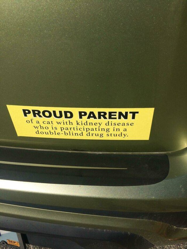 Awesome Things (41 pics)