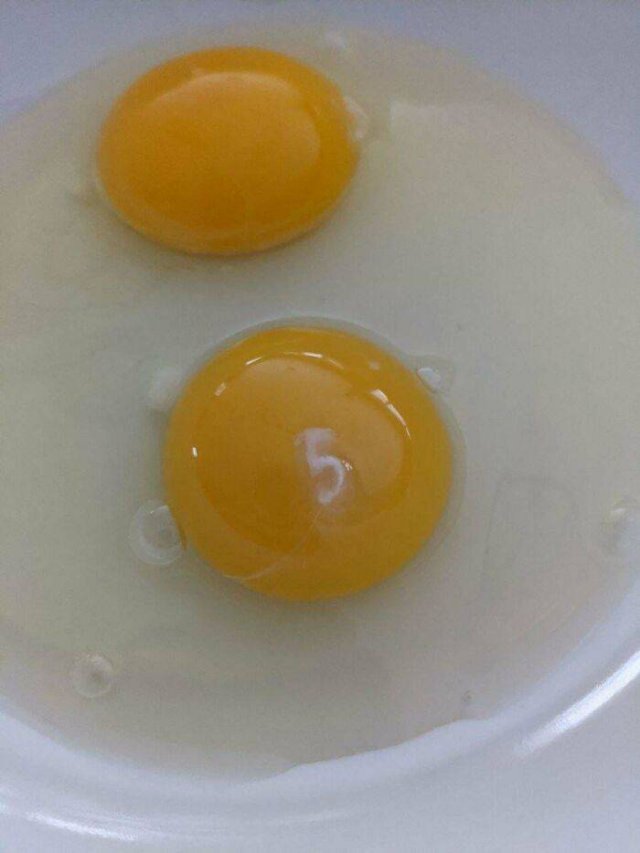 Awesome Things (41 pics)