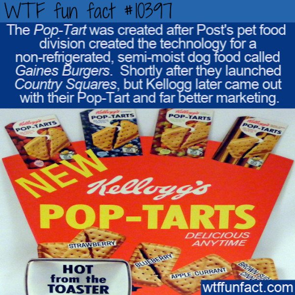 Interesting Facts (29 pics)