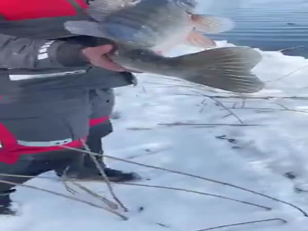 That's A Great Catch