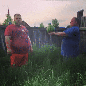 Acid Gifdump, February 12 (25 gifs)