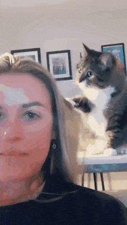 Acid Gifdump, February 12 (25 gifs)