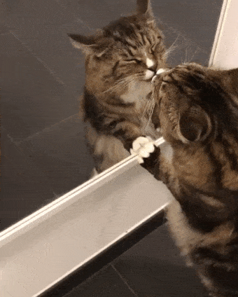 Acid Gifdump, February 12 (25 gifs)