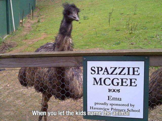 Wholesome Stories (45 pics)