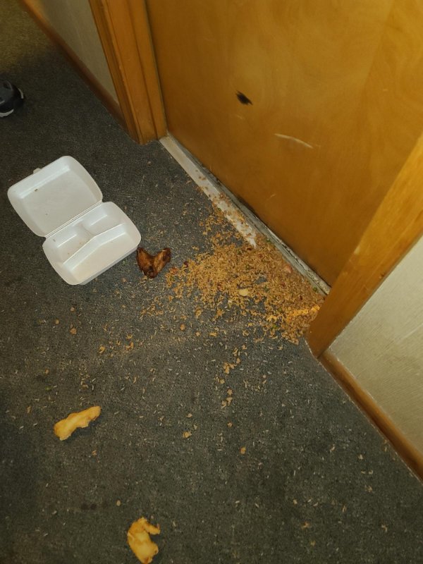 Bad Days Happen (25 pics)