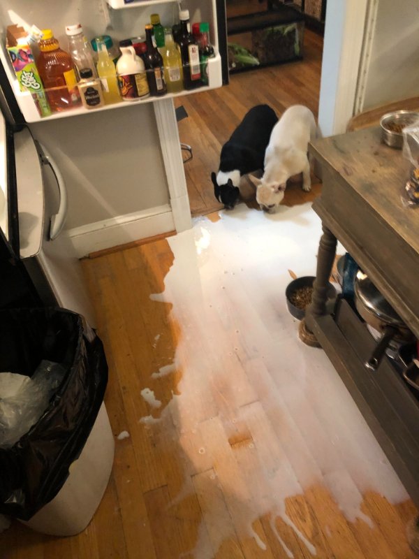 Bad Days Happen (25 pics)