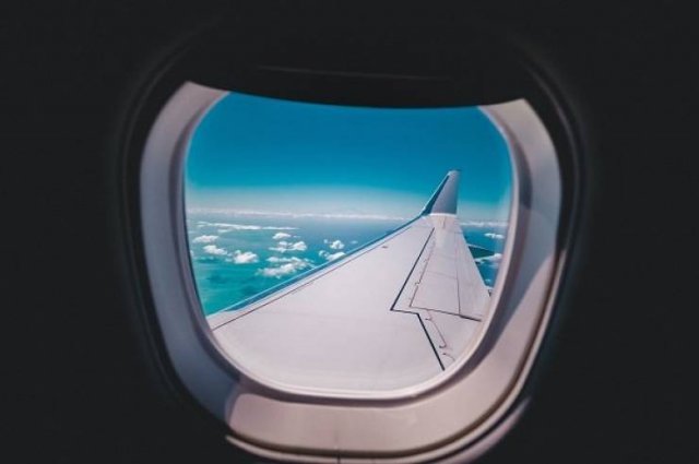 Flight Attendants Work Secrets (16 pics)