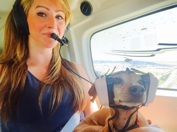 Traveling Pets (31 pics)