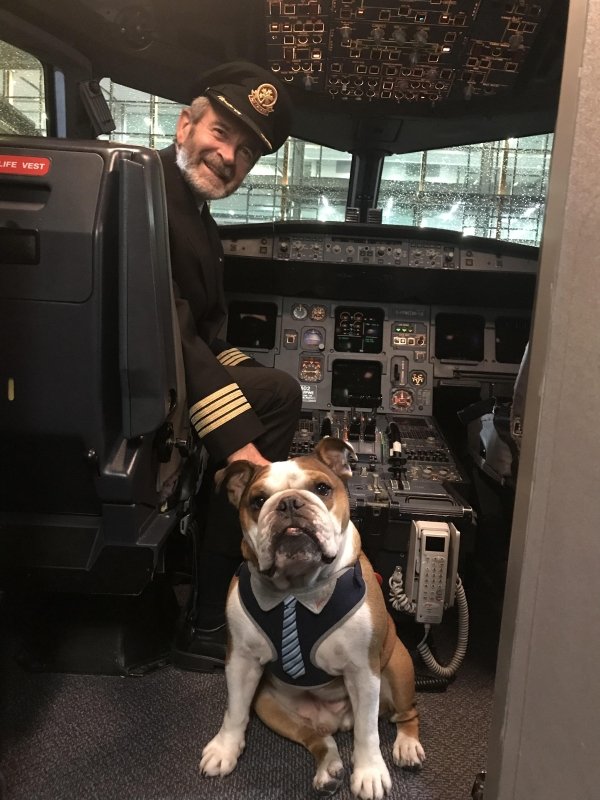 Traveling Pets (31 pics)
