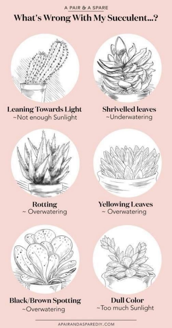 Interesting Charts (26 pics)