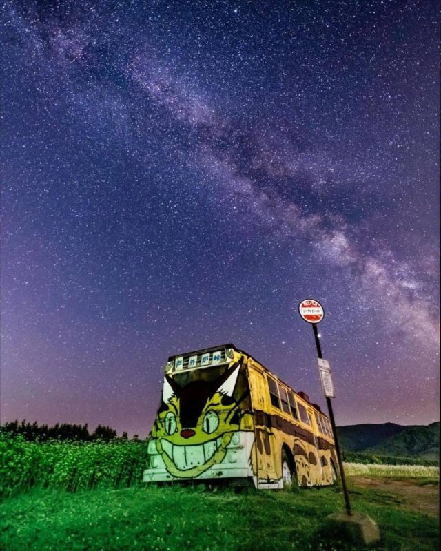 Amazing Pictures (47 pics)