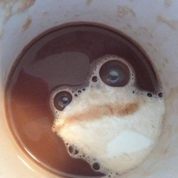 Acid Picdump 1 (92 pics)