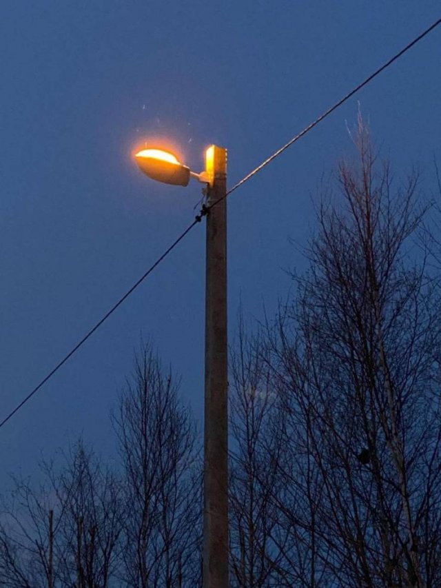 Acid Picdump 1 (92 pics)