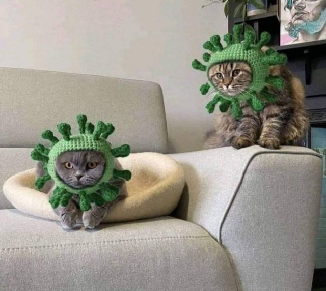Acid Picdump 1 (92 pics)