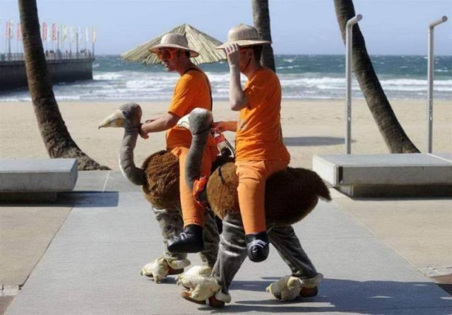 Acid Picdump 2 (90 pics)