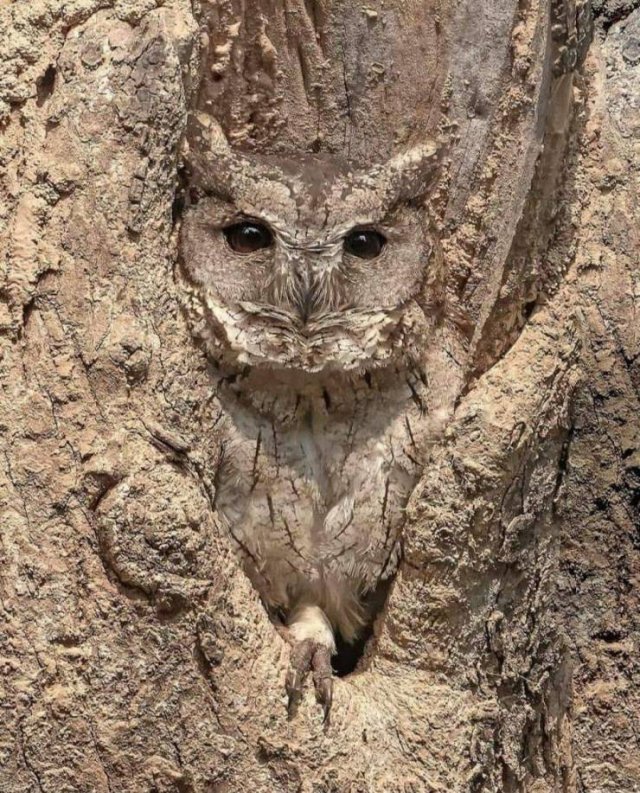 Acid Picdump 1 (92 pics)
