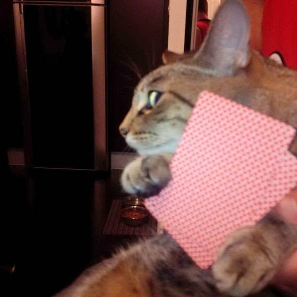 Acid Picdump 2 (90 pics)
