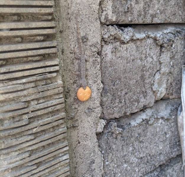 Acid Picdump 1 (92 pics)
