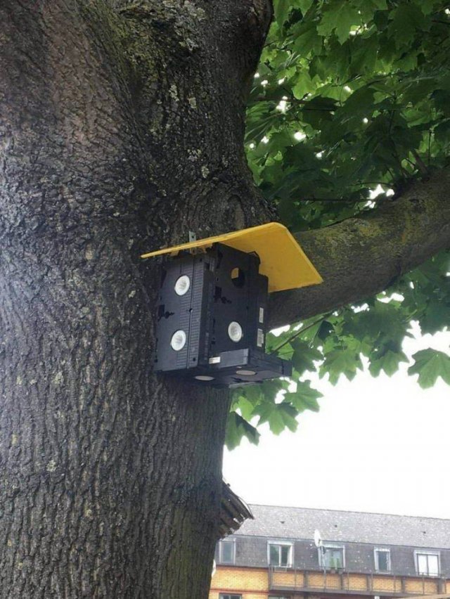 Acid Picdump 2 (90 pics)