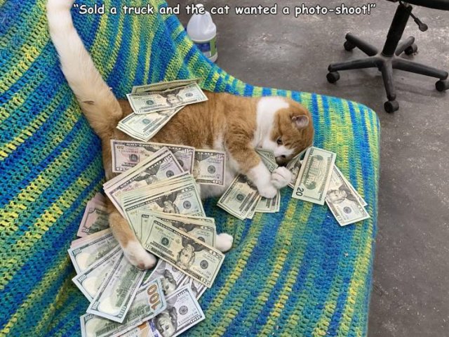 Acid Picdump 1 (92 pics)