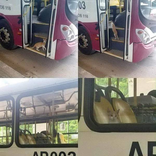Acid Picdump 1 (92 pics)