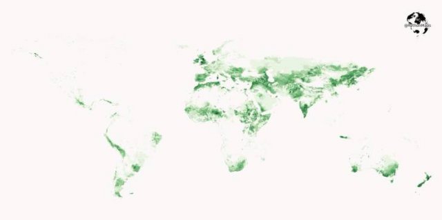 Interesting Data (20 pics) Interesting Data (20 pics)