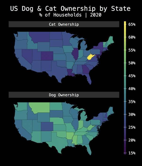 Interesting Data (20 pics)