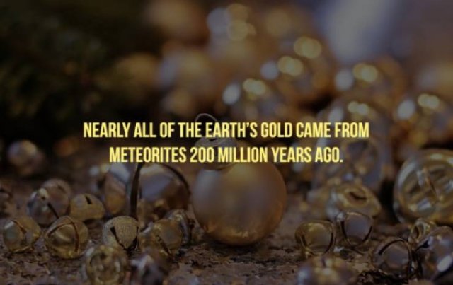 Gold Facts (20 pics)