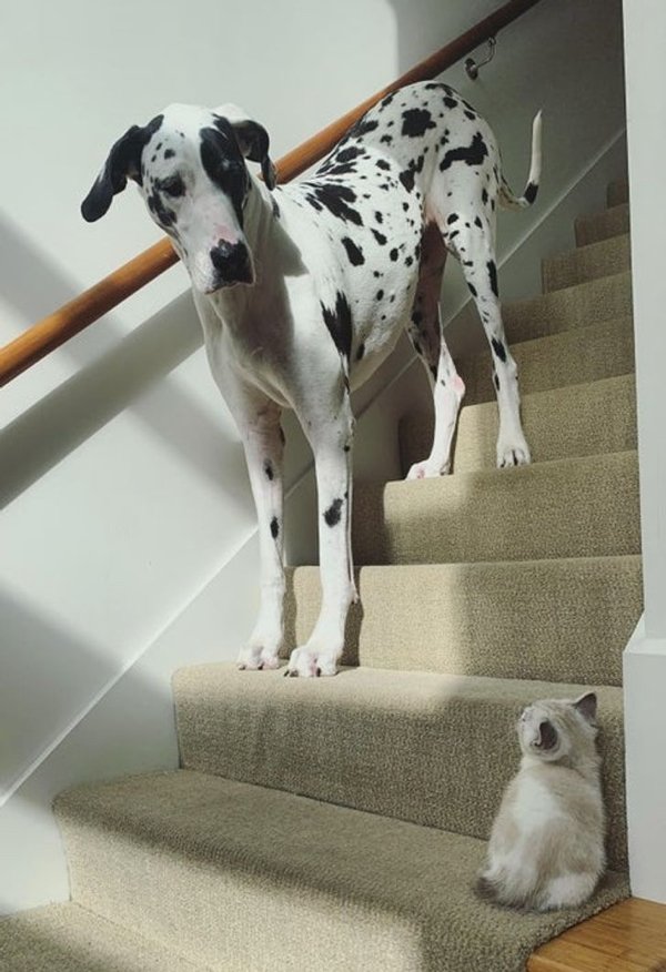 Comparison Matters (19 pics) Comparison Matters (19 pics)