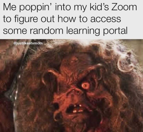 So True (46 pics)
