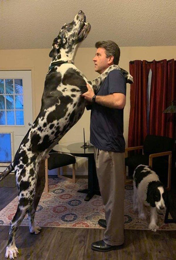 Comparison Matters (19 pics) Comparison Matters (19 pics)