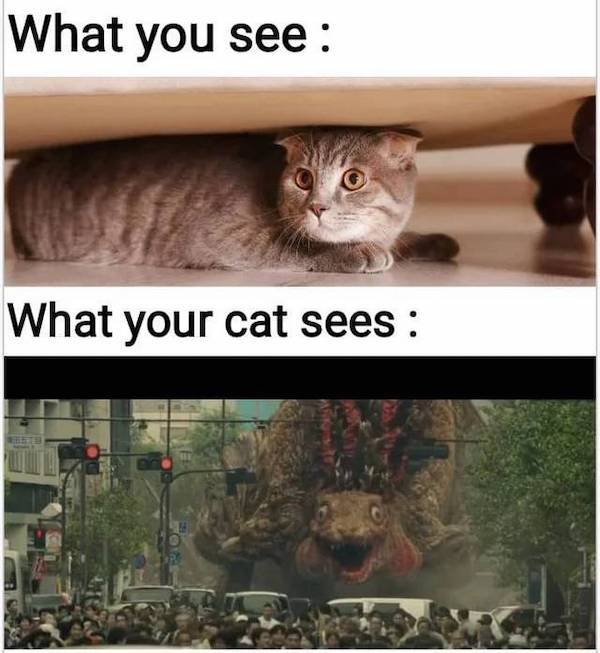 So True (46 pics)