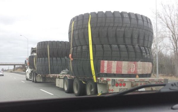 Comparison Matters (19 pics) Comparison Matters (19 pics)