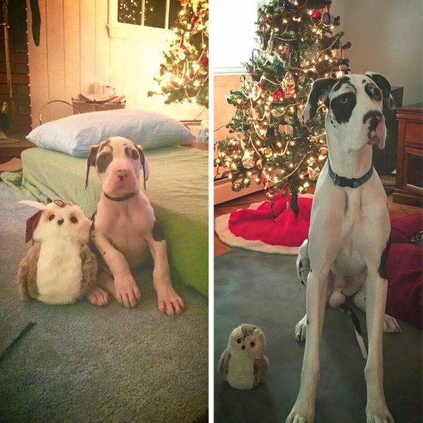 Comparison Matters (19 pics) Comparison Matters (19 pics)