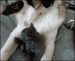 Acid Gifdump, February 16 (25 gifs)