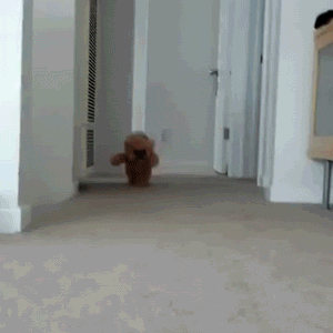 Acid Gifdump, February 16 (25 gifs)