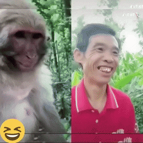 Acid Gifdump, February 16 (25 gifs)