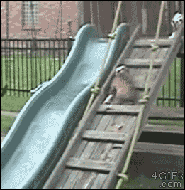 Acid Gifdump, February 16 (25 gifs)