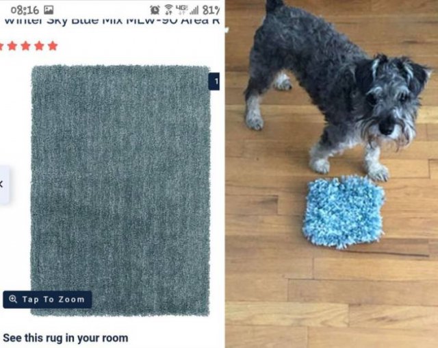 Online Shopping Fails (17 pics) Online Shopping Fails (17 pics)