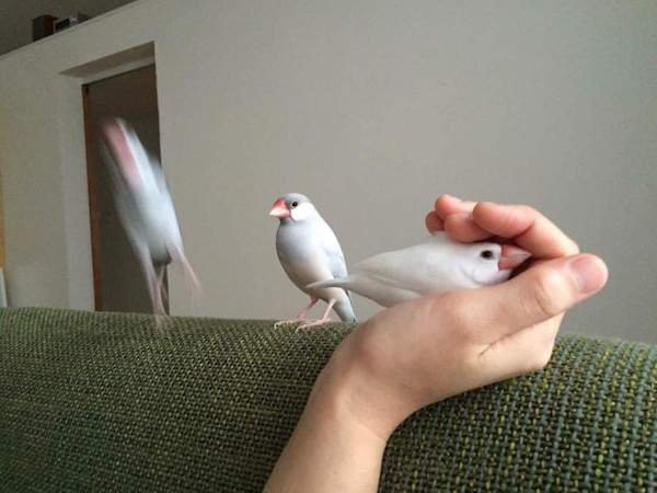 Right Moment (34 pics)