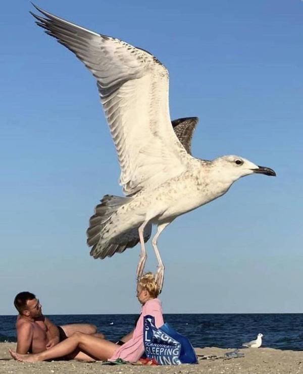 Right Moment (34 pics)