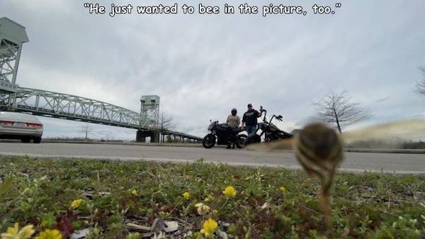 Right Moment (34 pics)