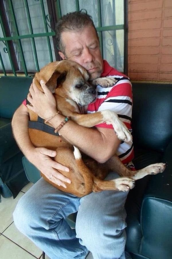 Missing Dogs Reunite Again With Their Owners (26 pics)