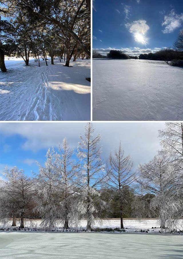 Texas Is Fighting With The Coldest Winter In Over 30 Years (39 pics)