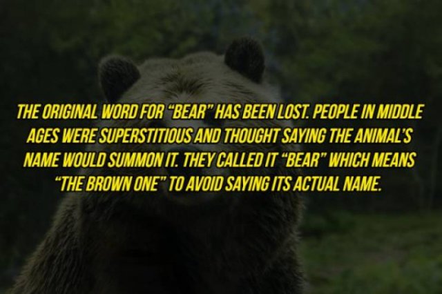 Interesting Facts (20 pics)