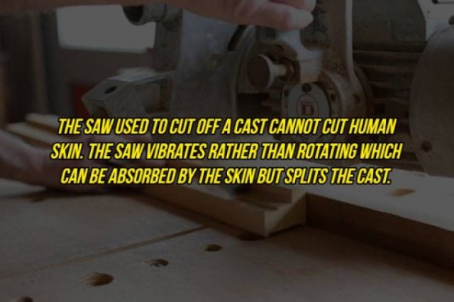 Interesting Facts (20 pics)